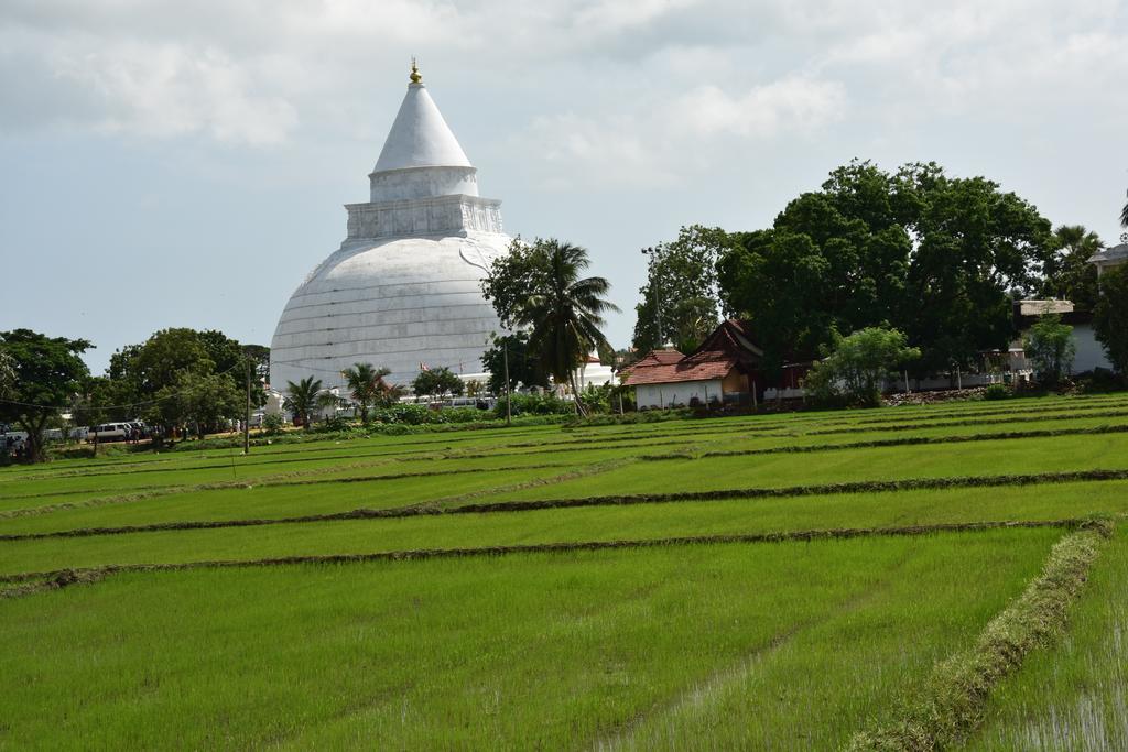 K Holiday Tissamaharama Ngoại thất bức ảnh